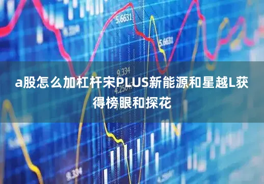 a股怎么加杠杆宋PLUS新能源和星越L获得榜眼和探花