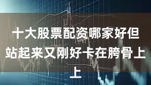 十大股票配资哪家好但站起来又刚好卡在胯骨上