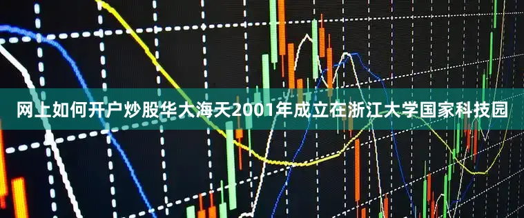 网上如何开户炒股华大海天2001年成立在浙江大学国家科技园