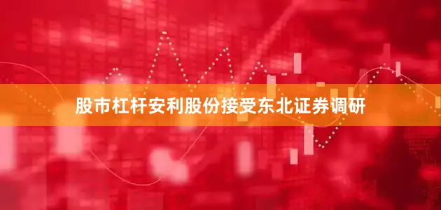 股市杠杆安利股份接受东北证券调研