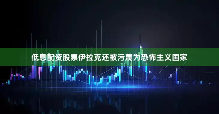 低息配资股票伊拉克还被污蔑为恐怖主义国家